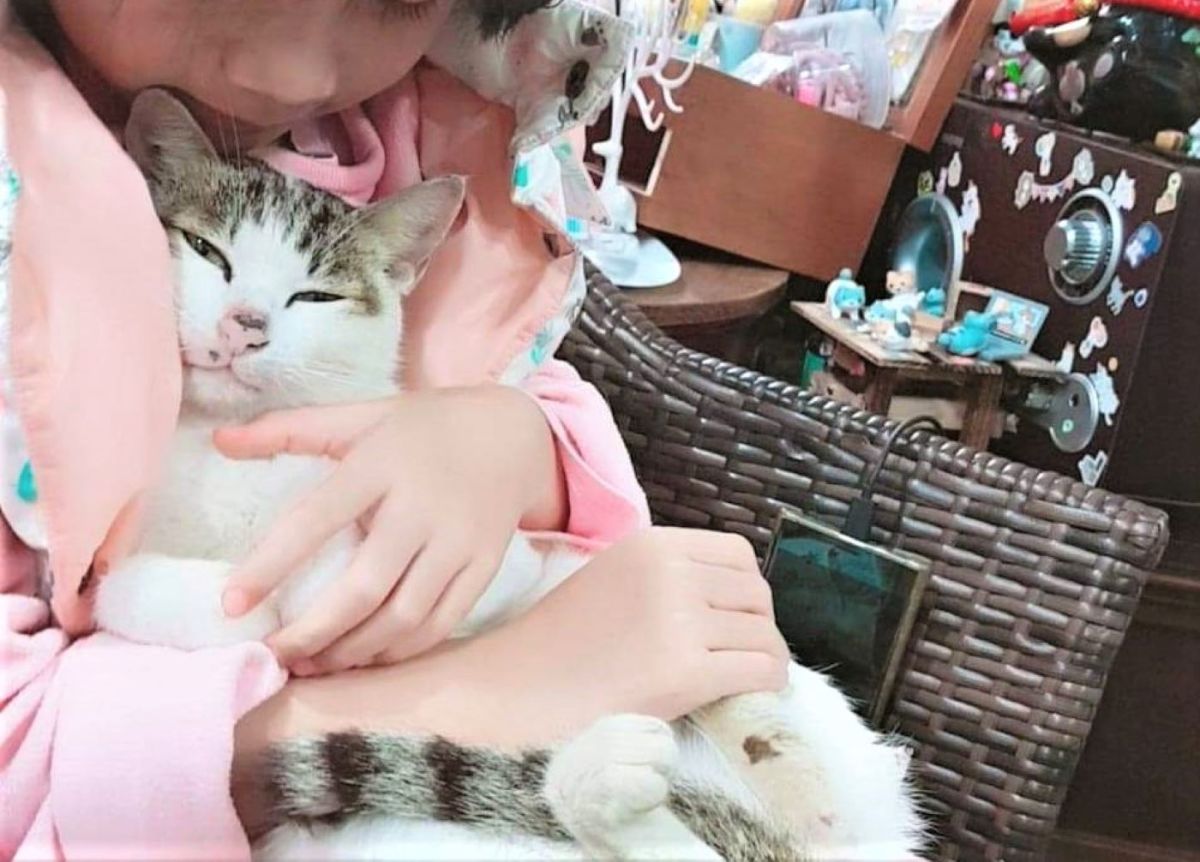 ▲啥米！這麼可愛的小貓竟然下的了手。在澎湖外垵村驚傳鷹架工人虐貓案件，有飼主將監視器畫面怒PO上網。（圖／韓凱蒂提供）