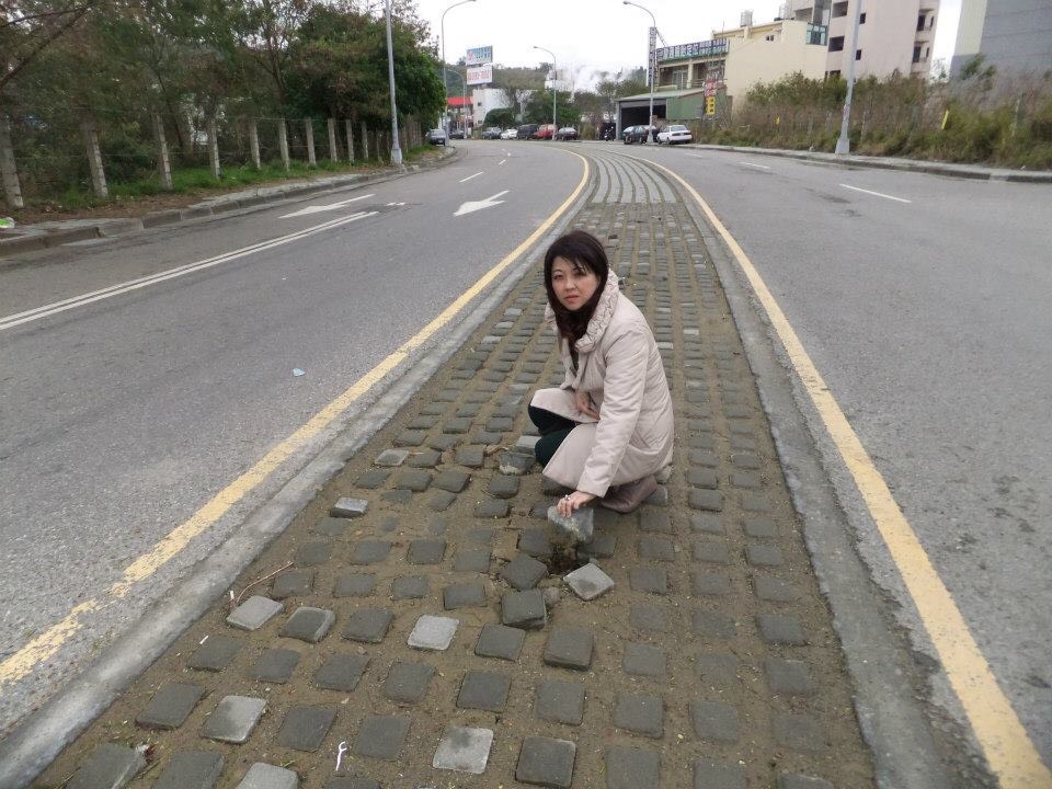 ▲烏日高鐵特定區三榮路等路段植草磚「危害行車安全」，終於要剷平了。 (圖／吳瓊華提供2020.3.18)