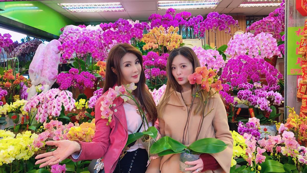 ▲楊麗菁（左）跟劉真超過20年交情。（圖 / 翻攝楊麗菁臉書 ）