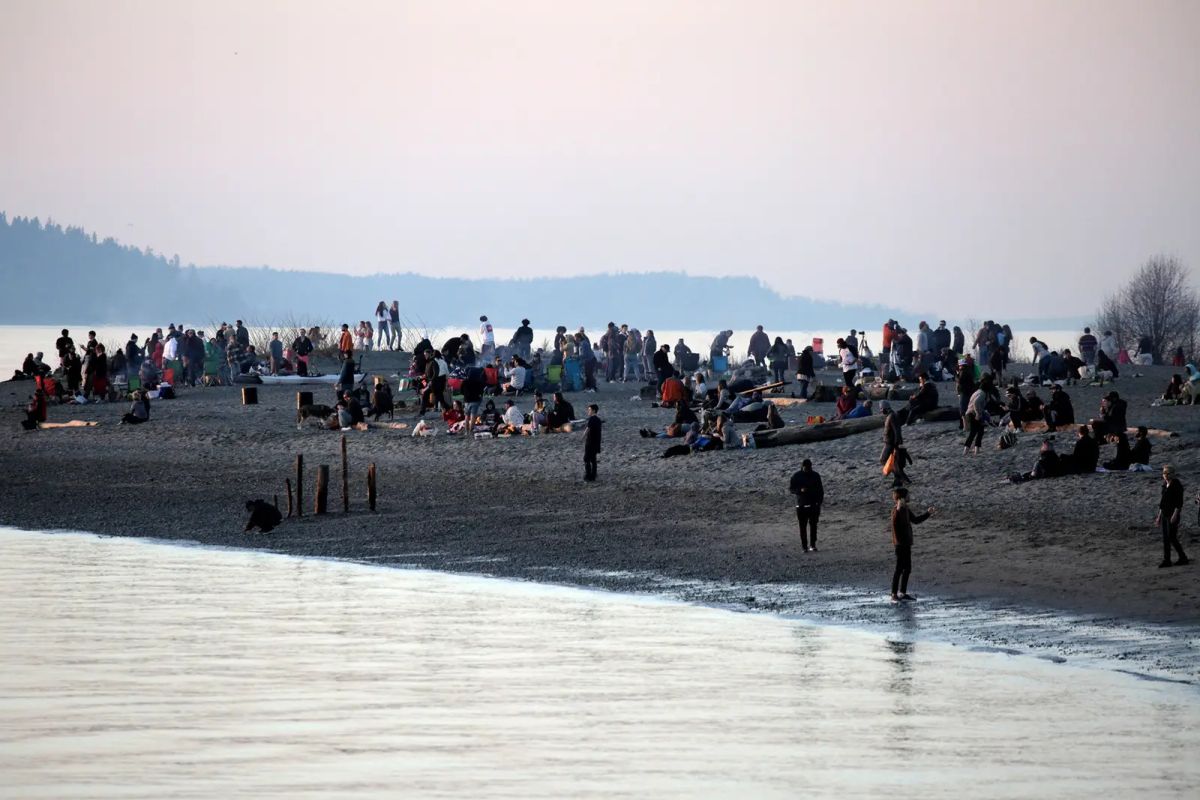 ▲（圖／翻攝自《BuzzFeed》）