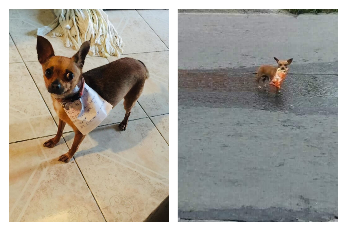 ▲（圖／翻攝自 Antonio Munoz 的臉書）