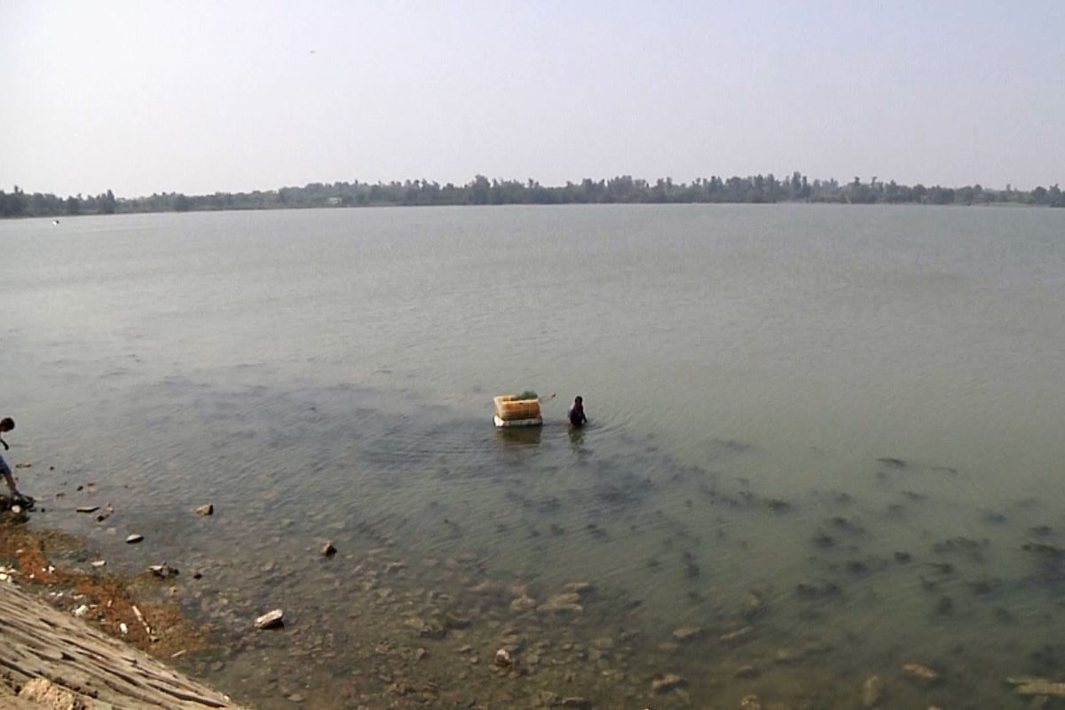 ▲金管處即日起加強清除慈湖內非法網具。（圖／蔡若喬攝, 2020.03.25）