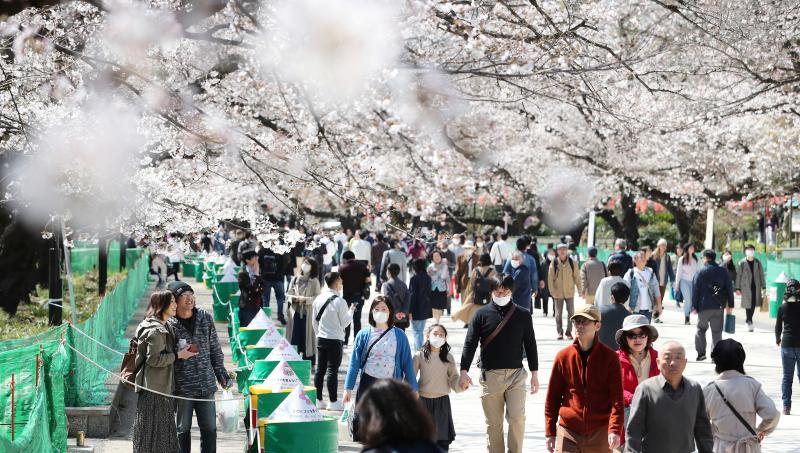 奧運／明年春天舉辦「櫻花奧運」　日本方面意願不大
