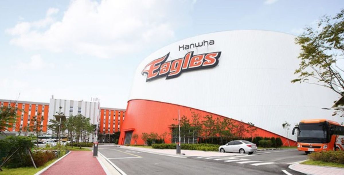 ▲韓火鷹。（取自dong A.com)