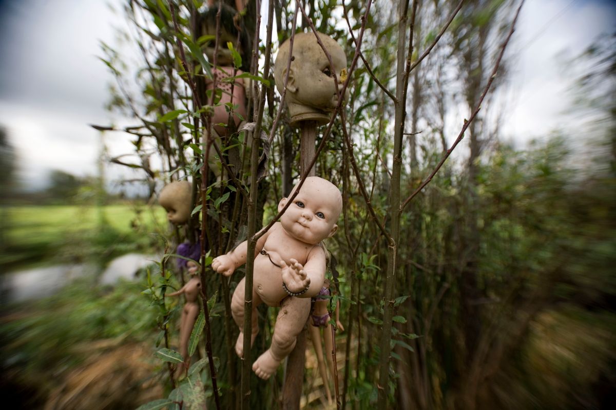 ▲具有神秘傳說色彩的墨西哥娃娃島，島上掛滿玩偶。（圖／美聯社／達志影像）