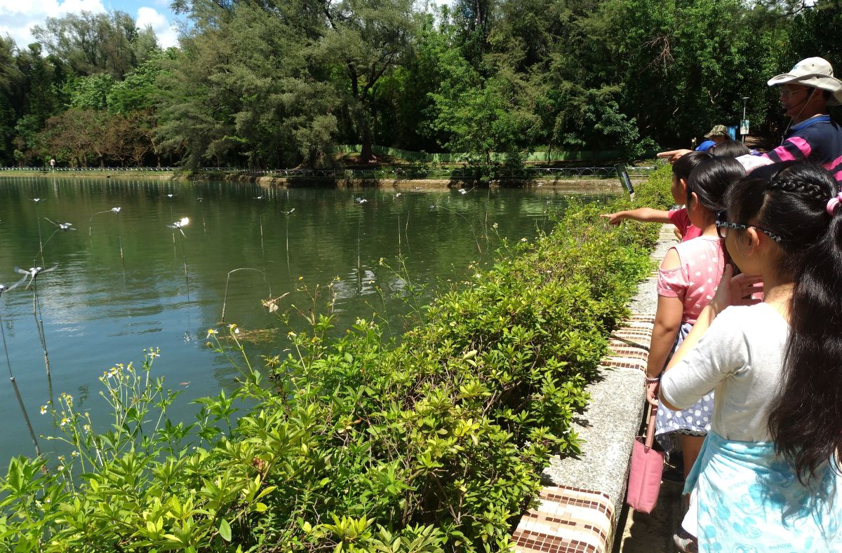 ▲台灣自來水公司第七區管理處推出兒童節12歲以下兒童免費進入澄清湖風景區的優惠活動。(圖／記者黃守作攝)