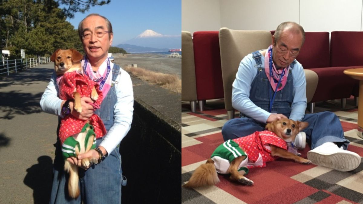 ▲志村健終身未婚，他在家中養了4隻小狗相伴。（圖／志村健官方部落格）