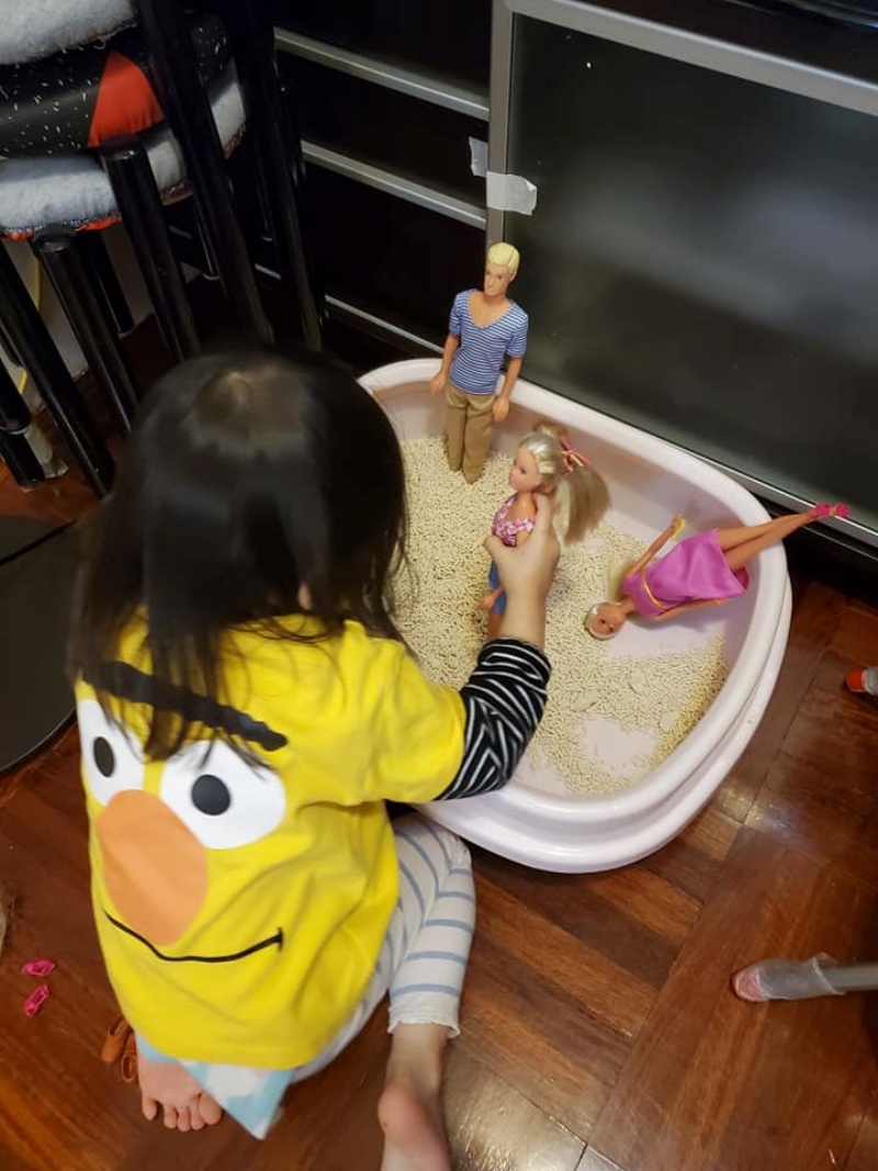 女兒為芭比找到「渡假勝地」玩翻　媽和貓咪都傻眼：那是喵的廁所啊！