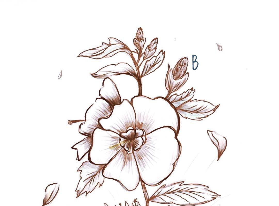  ▲拿掉美化後，看看真實的愛情面貌吧！（圖／安妮的奇異星球）