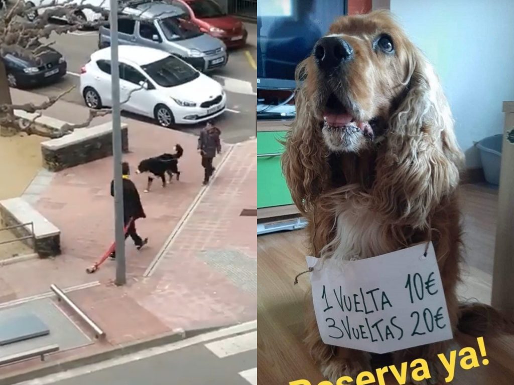 欸你這個狗勾也太假了吧！不要騙哦！（圖／Twitter） 