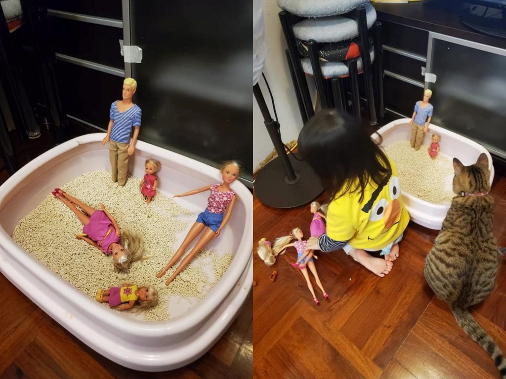 女兒為芭比找到「渡假勝地」玩翻　媽和貓咪都傻眼：那是喵的廁所啊！
