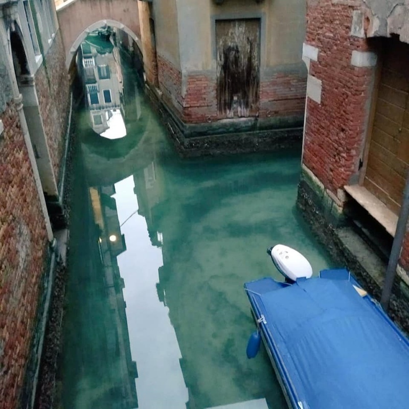義大利全境封鎖！威尼斯運河現生機　港口海豚玩到嗨翻