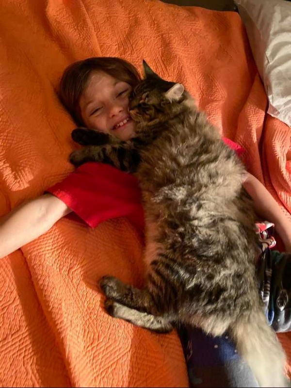 全世界我最喜歡你！貓咪一抱著最愛小主人就會秒入睡