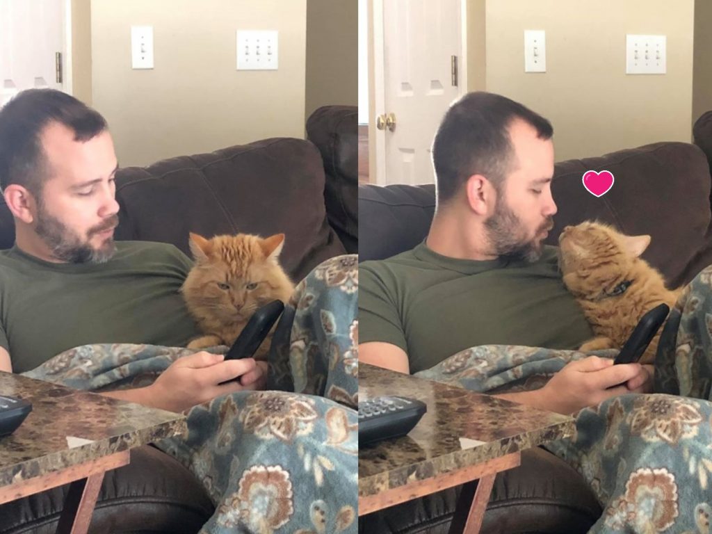 橘貓與把拔超甜蜜互動羨煞許多網友（圖／FB@Kathryn Perkins）