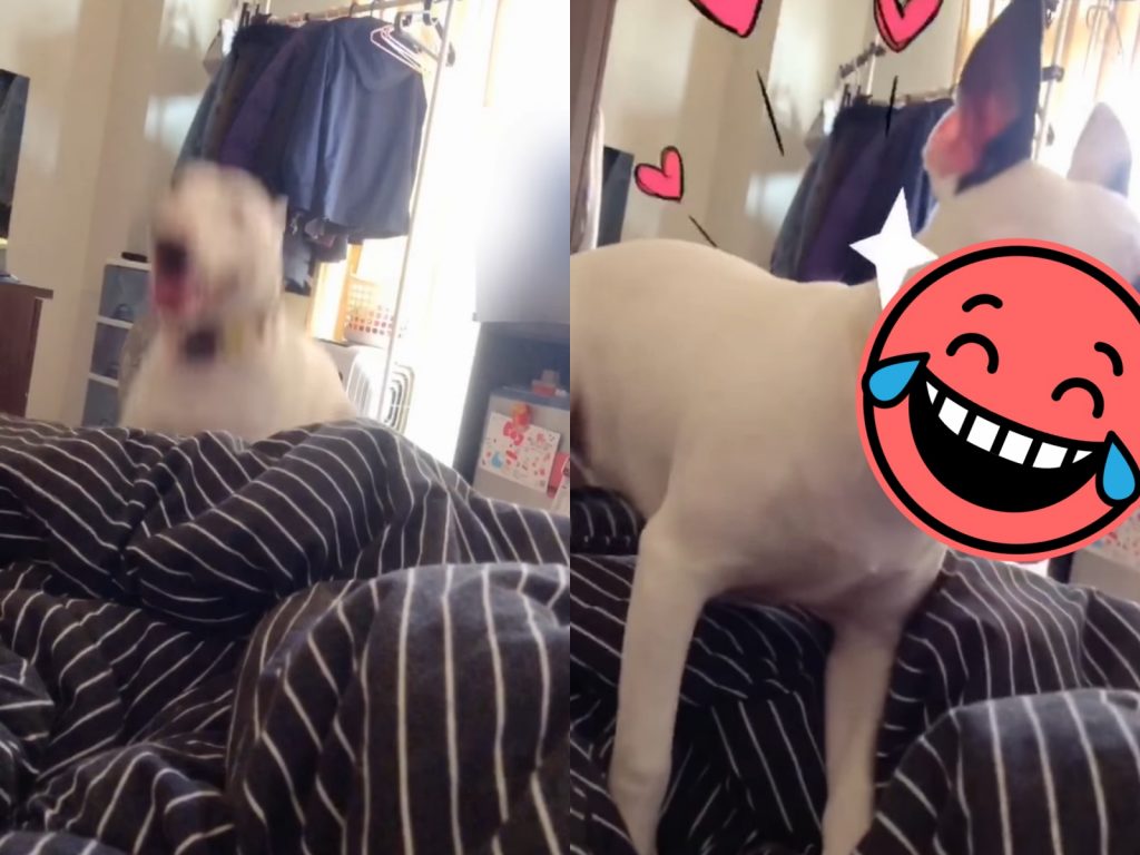 偶的千頌伊～快說偶帥不帥！（圖／網友Hyuna Wang提供） 