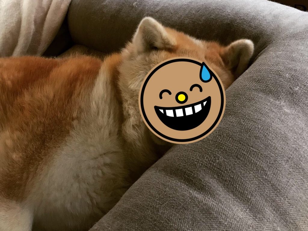 但Jin睡覺的時候就會變成這樣。（圖／Twitter@hachimonajin） 