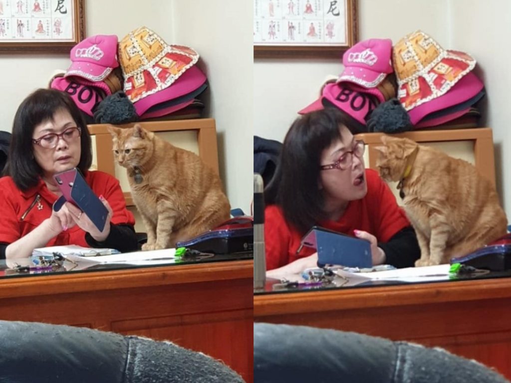 網友分享母親與橘貓的可愛互動（圖／網友Hung Hazel授權提供）