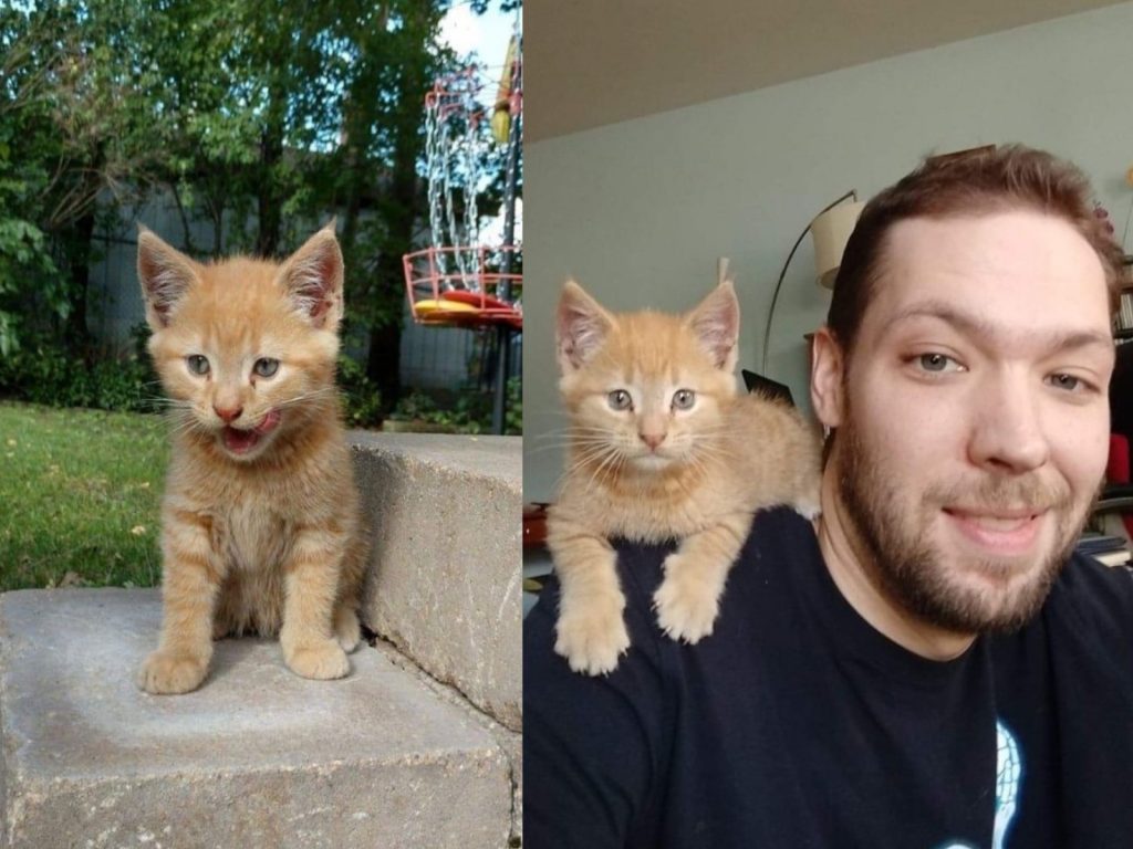 一隻小橘貓跑到男子家求收編（圖／Love Meow）