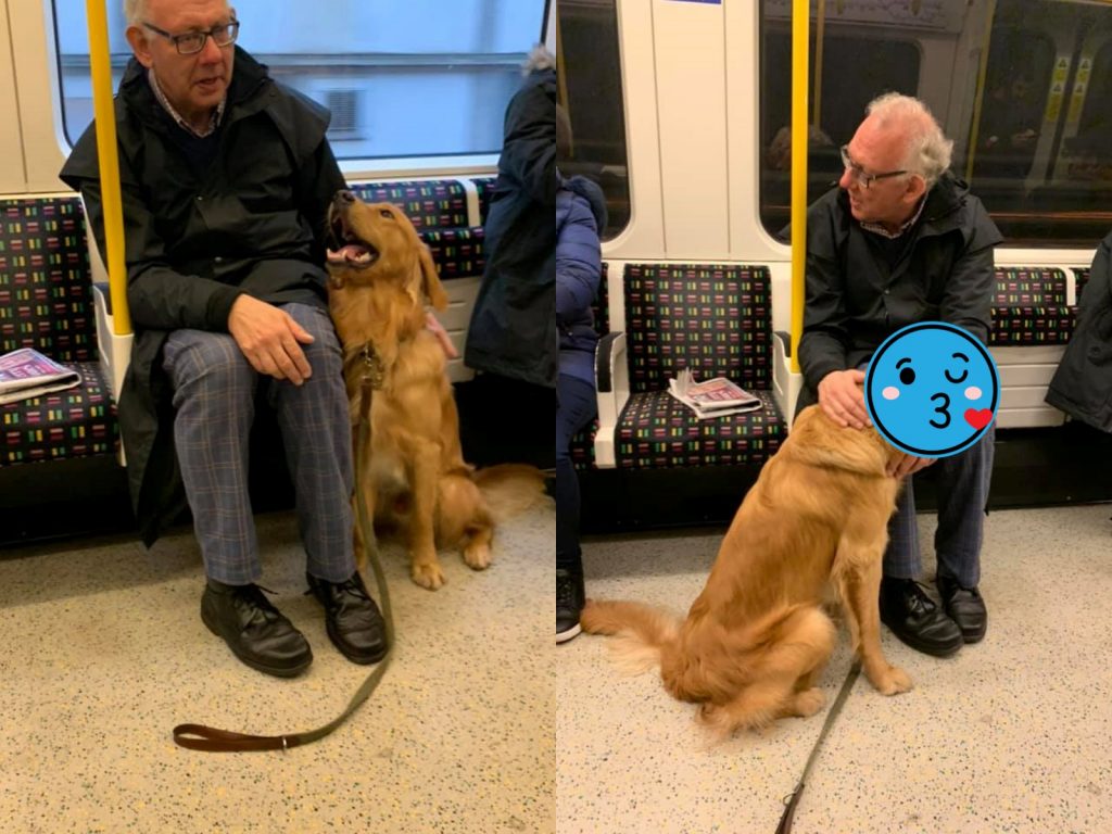 嗨嗨～跟偶玩跟偶玩～（圖／Facebook@Hugo and Ursula） 