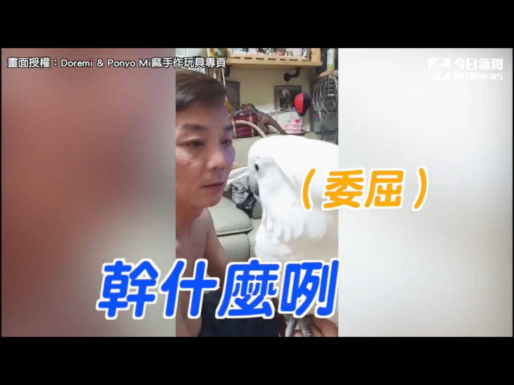 把拔對不起啦～親一個～啾～（圖／Doremi & Ponyo Mi麻手作玩具專頁提供） 