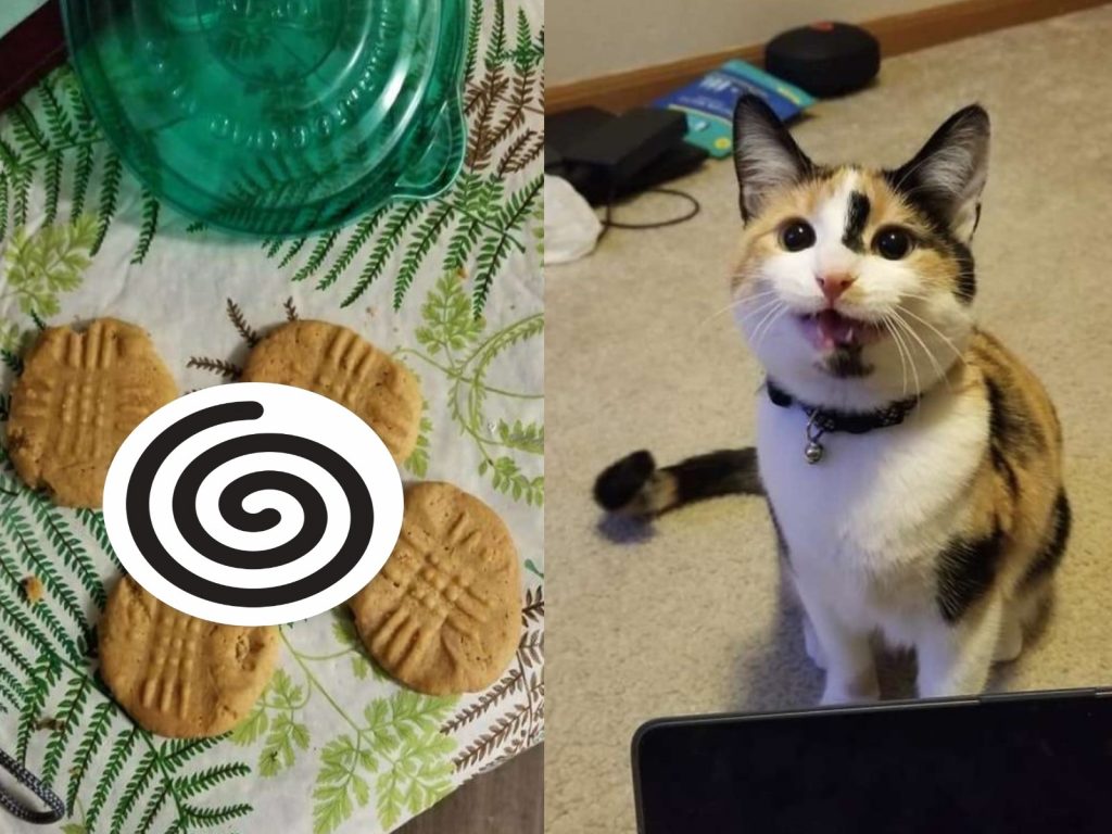 一隻三花貓在主人烤好的餅乾上「做記號」（圖／The Dodo）
