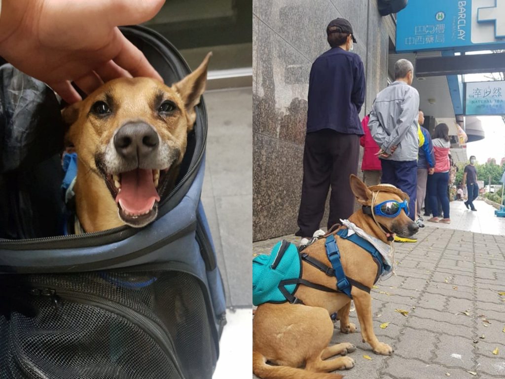 汪！這麼多人都在排隊，這肉肉一定Hen好粗！（圖／網友J TZ Huang提供） 