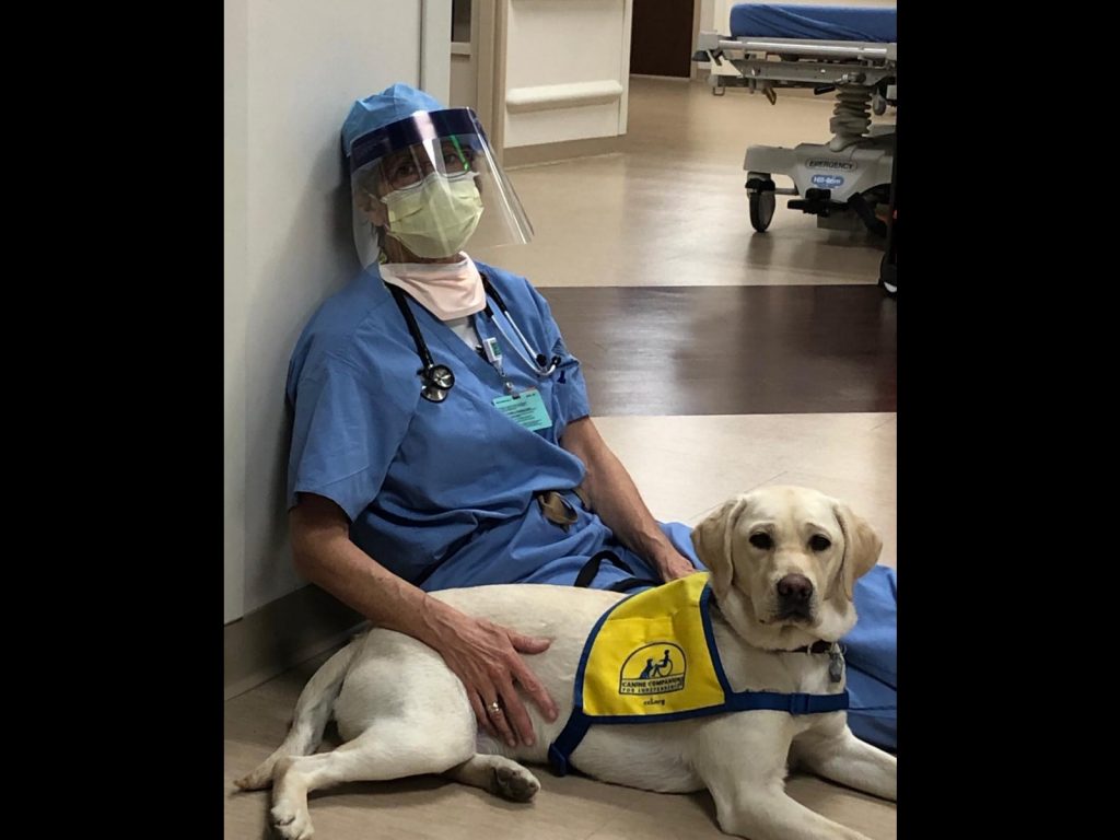 身心疲累的蘇珊，一見到溫恩又獲得了不少元氣。（圖／IG@docplusdog） 