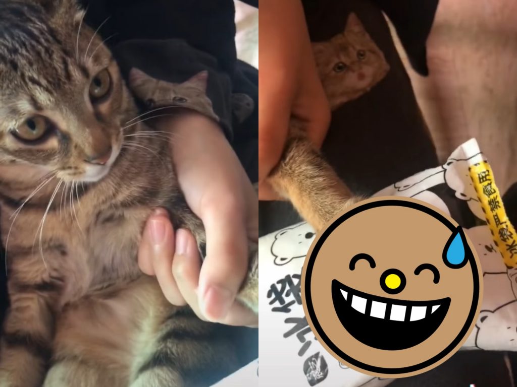 好好的手手腫到像棒棒糖一樣。（圖／ TikTok@1133787209） 