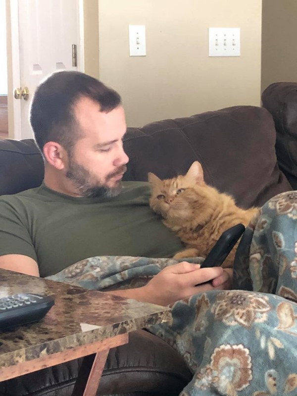 太太拍下先生與橘貓看手機互動　網笑：牠才是正宮！