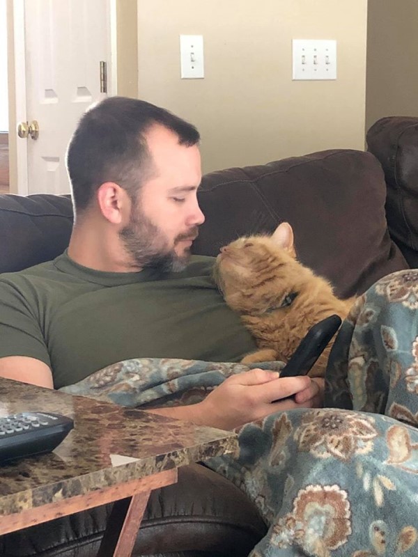 太太拍下先生與橘貓看手機互動　網笑：牠才是正宮！