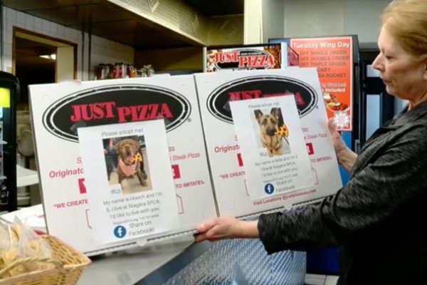 披薩店擔任免費廣告刊版　傳遞幸福幫助收容所毛孩找家！
