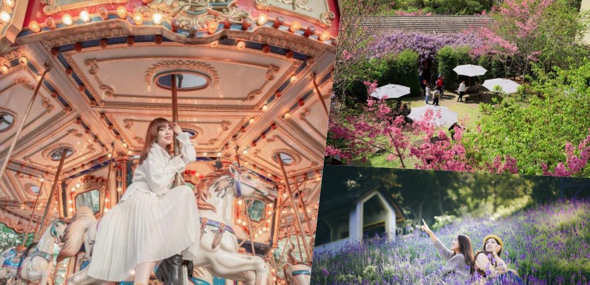 ▲中部賞花景點。（圖／lilianwang_tw、red、Wuling Farm）