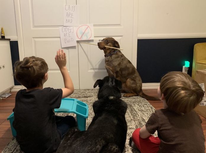 ▲或許我不應該把在家自學外包出去… | Maybe I Shouldn’t Have Outsourced My Home-Schooling. (Courtesy of kmascasa)