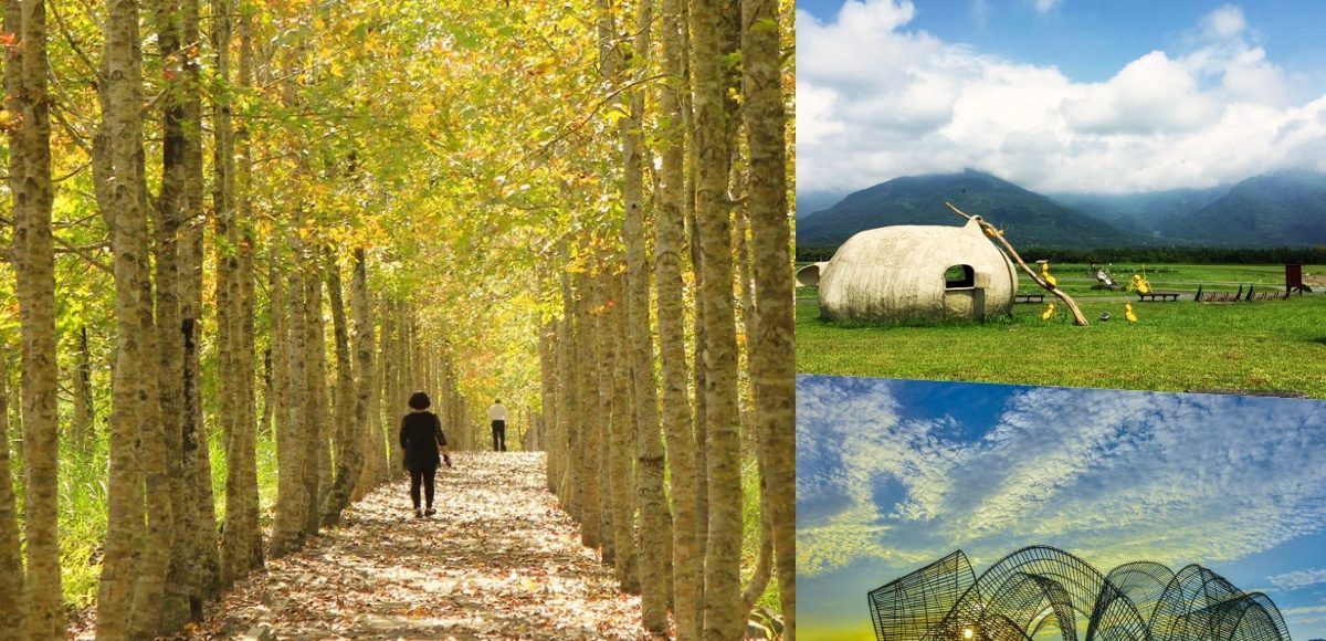 ▲騎鐵馬半日遊，尋找宮崎駿《龍貓》神秘隧道。（圖／歡迎光臨，東宅 Vida Cómoda、大農大富平地森林園區FB）