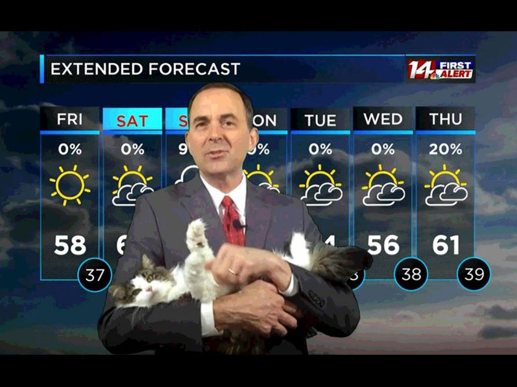 貝蒂在直播中擅闖，卻意外爆紅。（圖／Facebook@ eff Lyons – 14 News） 