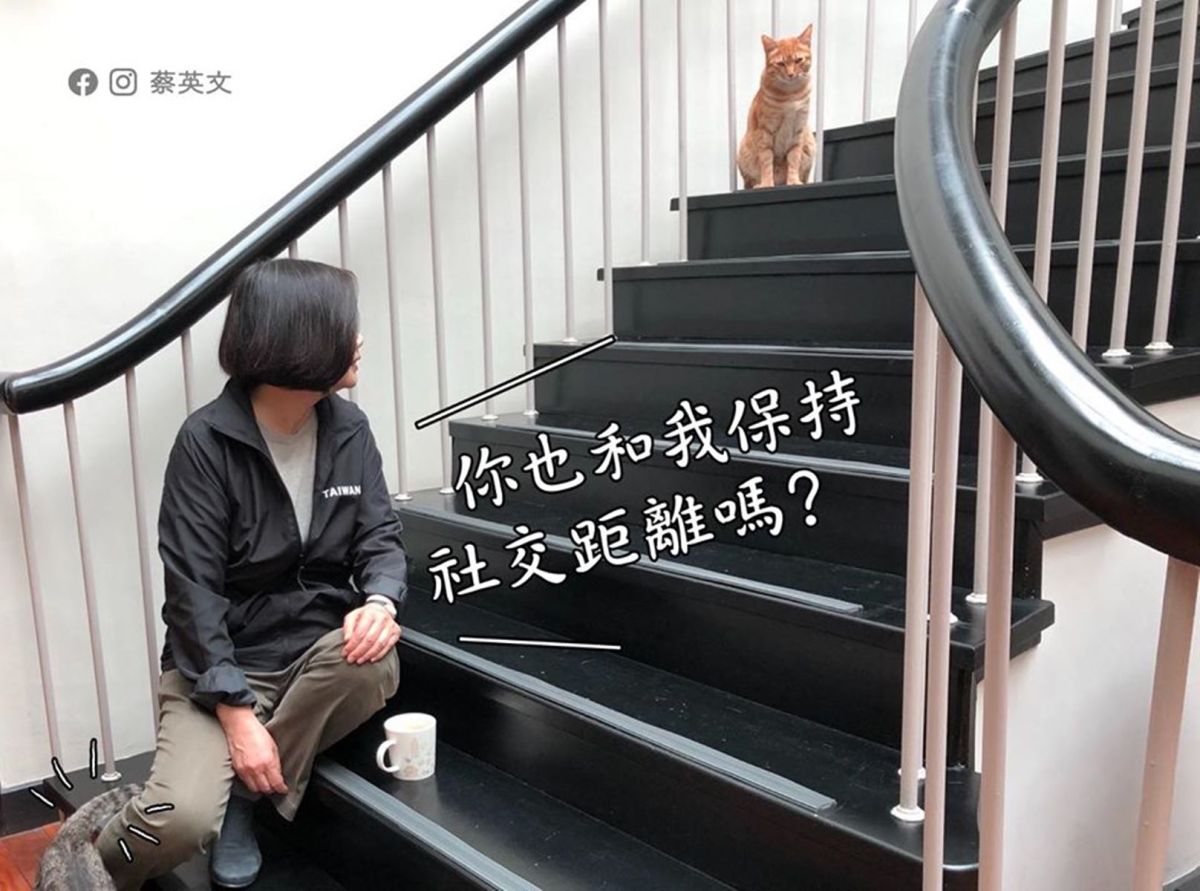 蔡英文總統與愛貓宣導「社交距離」。（圖 / 取自蔡英文臉書）