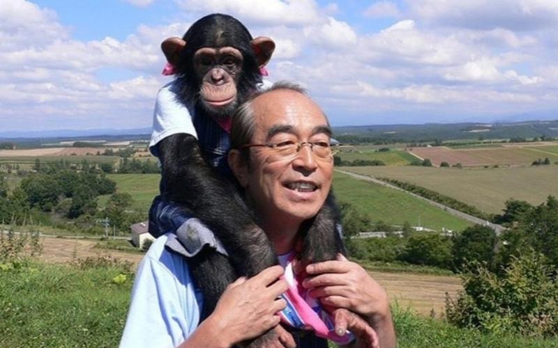 ▲志村健與黑猩猩小龐互動深受觀眾喜愛。（圖／翻攝志村動物園IG） 