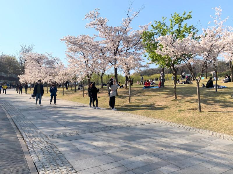 ▲網友分享公園人潮景象。(圖/翻攝