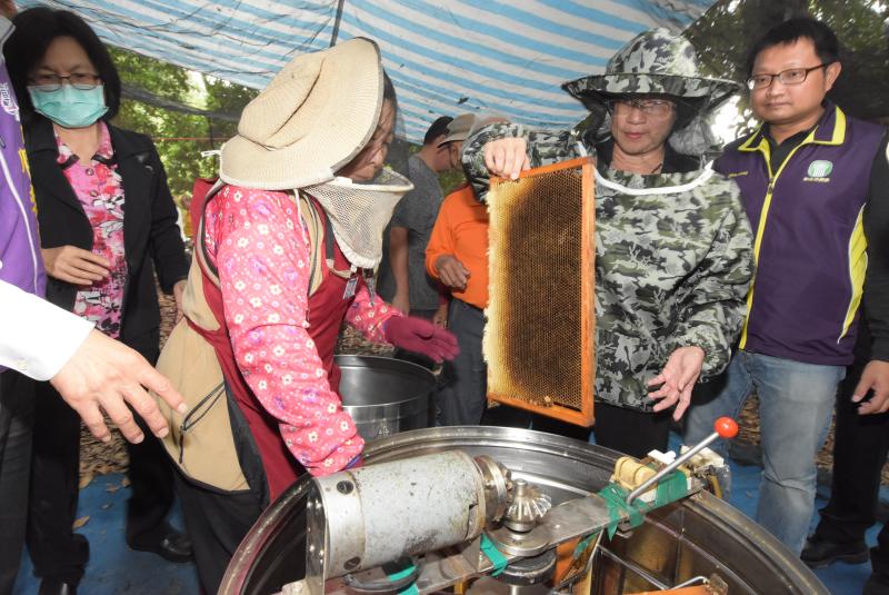 ▲王惠美說，政府大力推廣「林下經濟」，養蜂就是其中一種，養蜂不僅能讓果樹授粉，也是生態中最好的指標。（圖／記者陳雅芳攝）