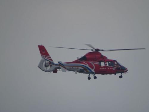 不只TPASS！空勤海豚直升機服役30年　民眾黨解套擬先審升級預算
