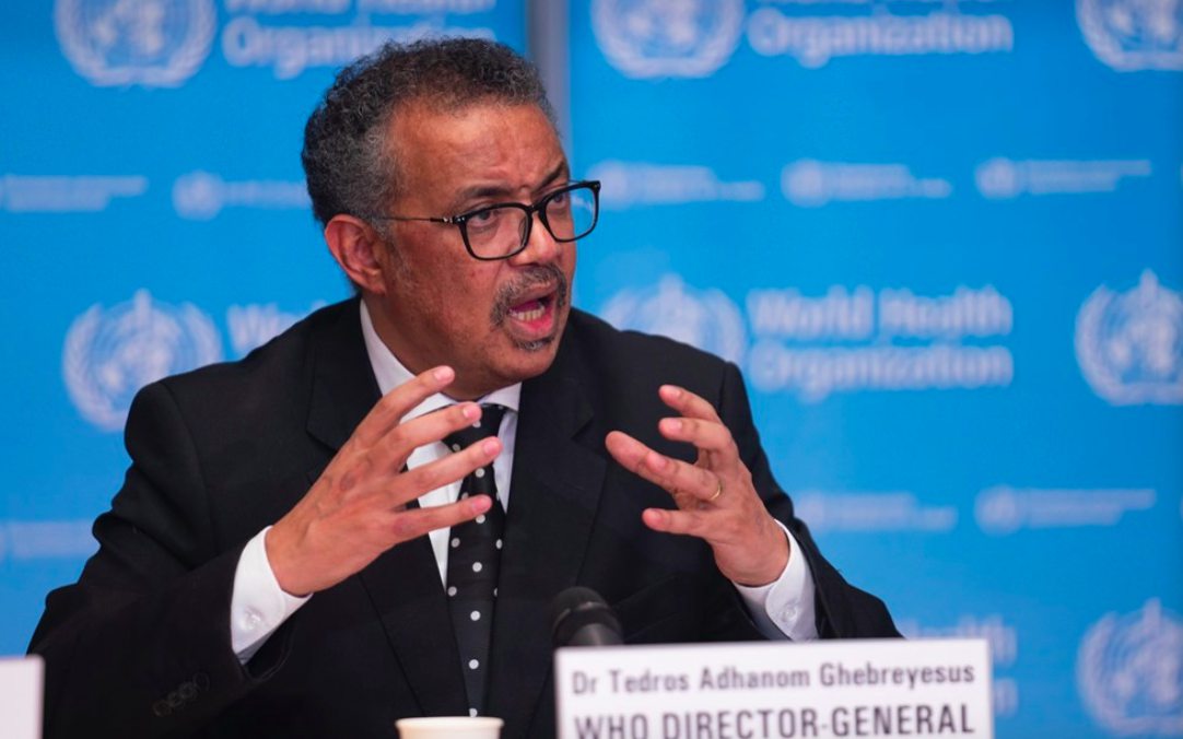 ▲WHO秘書長譚德塞。（圖／翻攝 WHO 推特）