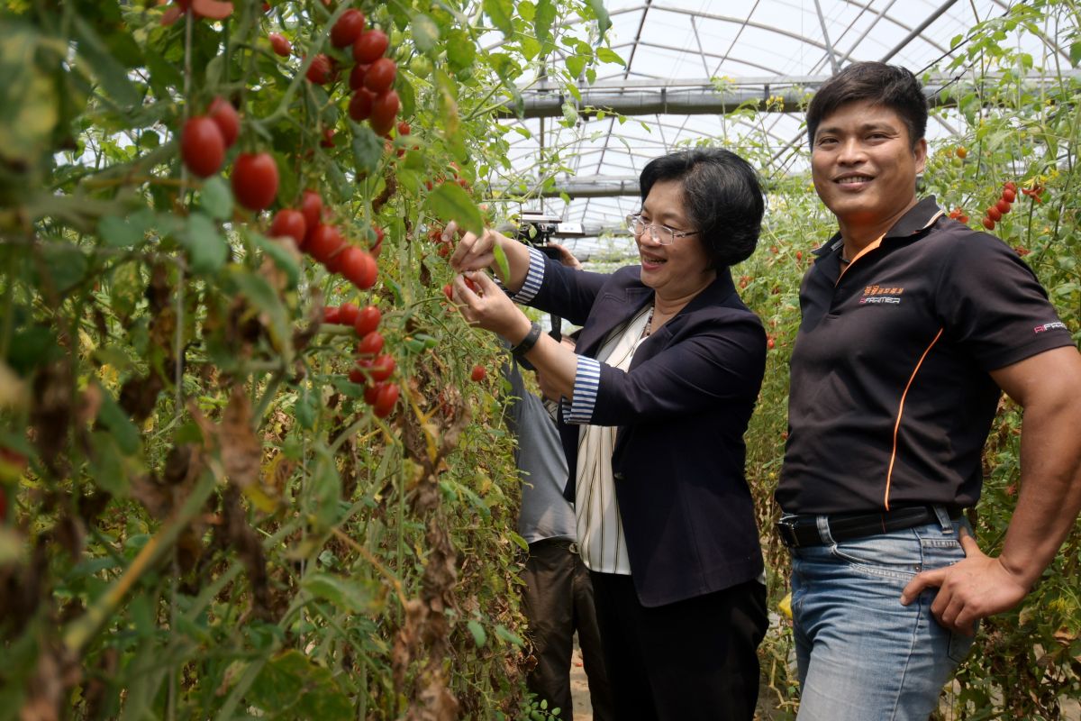 ▲把機械與農業專長完美結合，青農柯景發堅持無毒栽種，戰戰兢兢所生產出各類安全無毒蔬果，縣長王惠美呼籲歡迎鄉親多多採購彰化生產的優良蔬果。（圖／記者陳雅芳攝，2020.04.09）