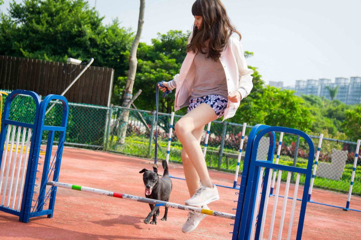 ▲民眾攜帶寵物外出時應繫牽繩、保持1公尺社交距離，並避免與野外動物接觸。（圖／新北市政府動保處提供）