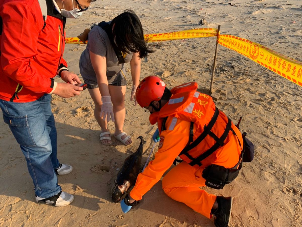 ▲金門岸巡隊獲報，立刻派員到場採樣送驗。（圖／金門岸巡隊提供）