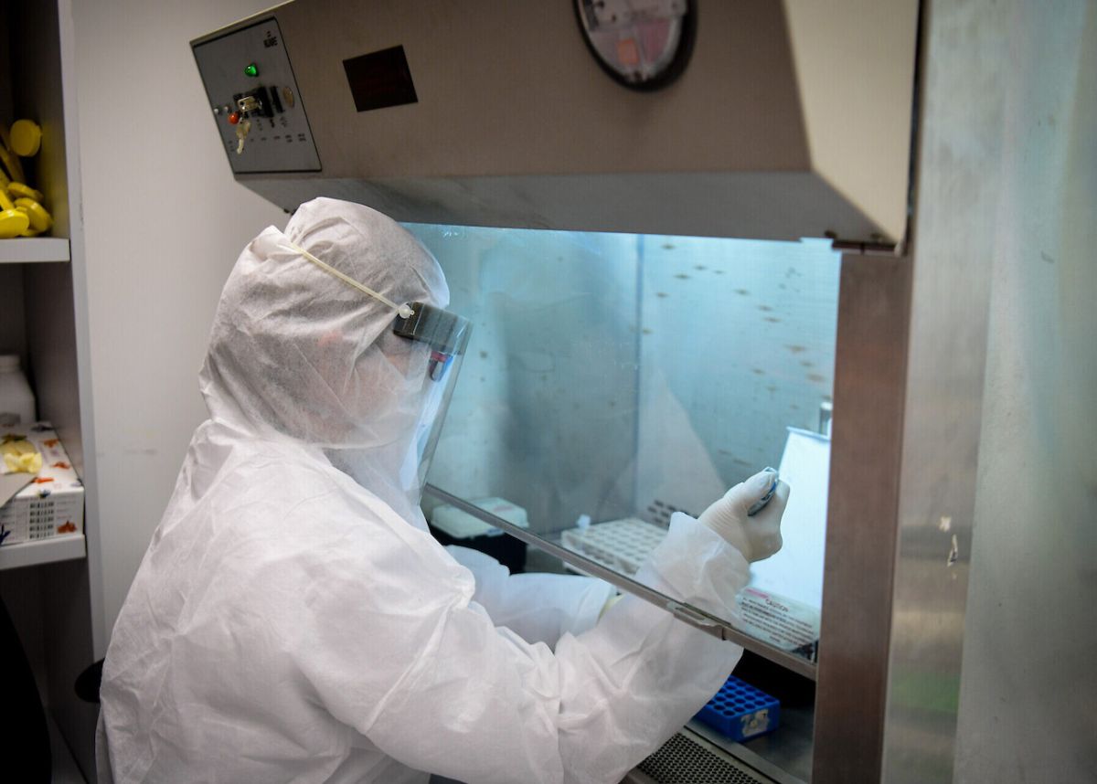 ▲病毒實驗室。（圖／翻攝自 The Times of Israel 以色列時報）