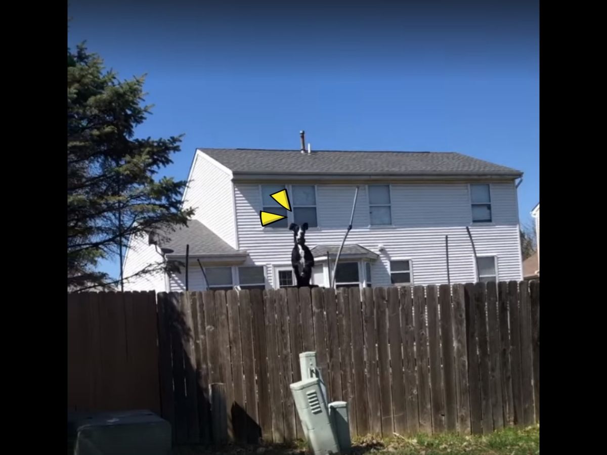 嗨～天氣不錯齁～泥好泥好！（圖／Facebook@Rena Nicole）