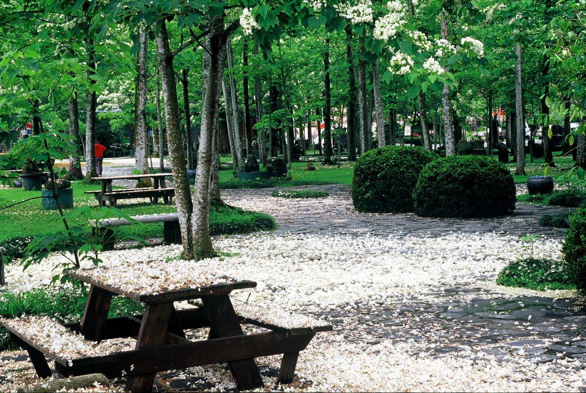 南投埔里牛耳度假村(圖|牛耳度假村提供）