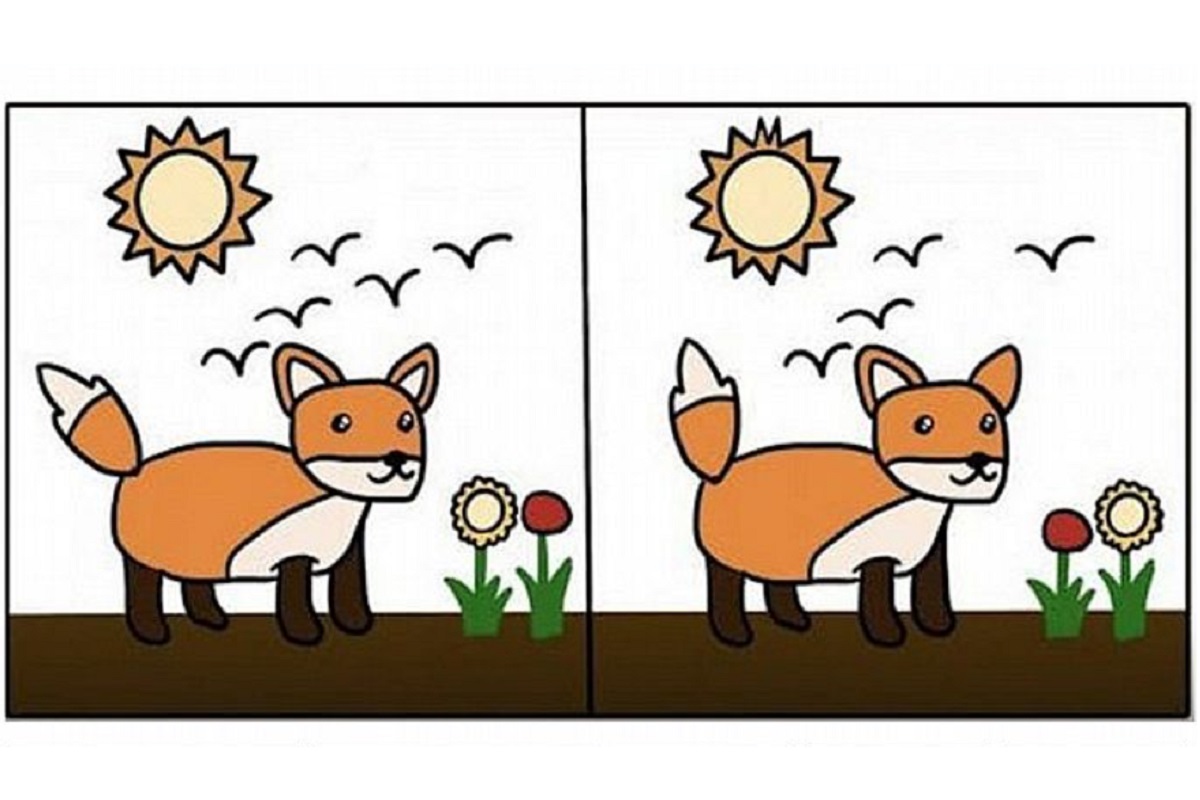 ▲第一眼觀察到哪裡不同？秒揭你「未曾發現的真實性格」。（圖／翻攝自Look Pretty ）