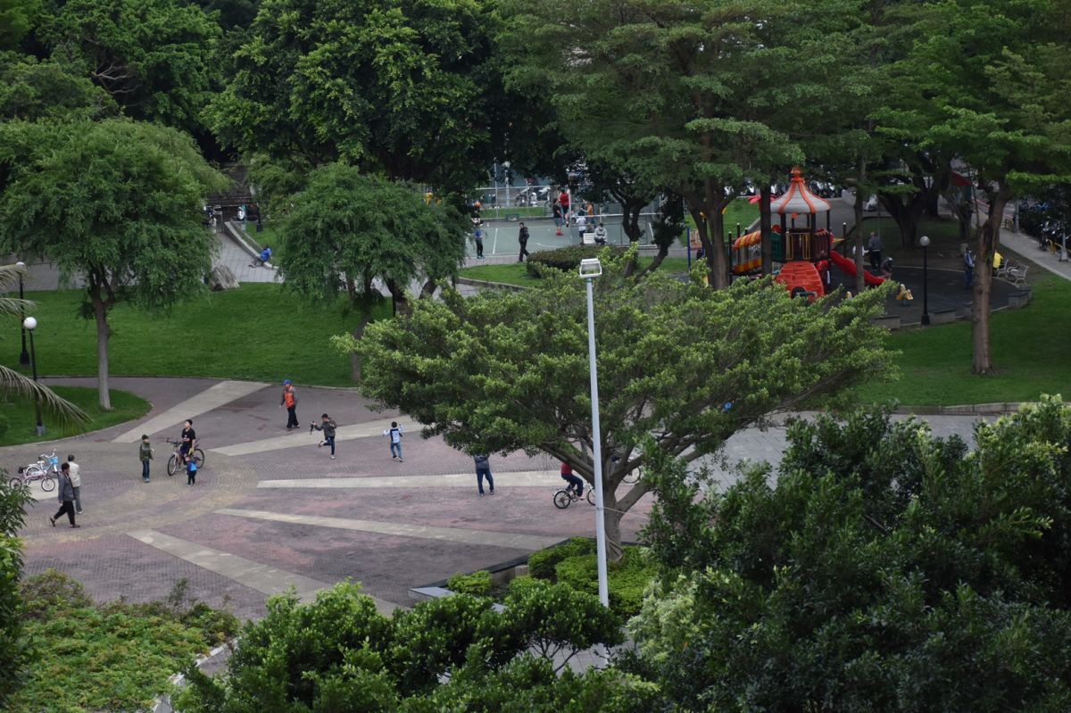 ▲ 新北市大同公園young化  年青人休閒運動聖殿。（圖/公關照片）