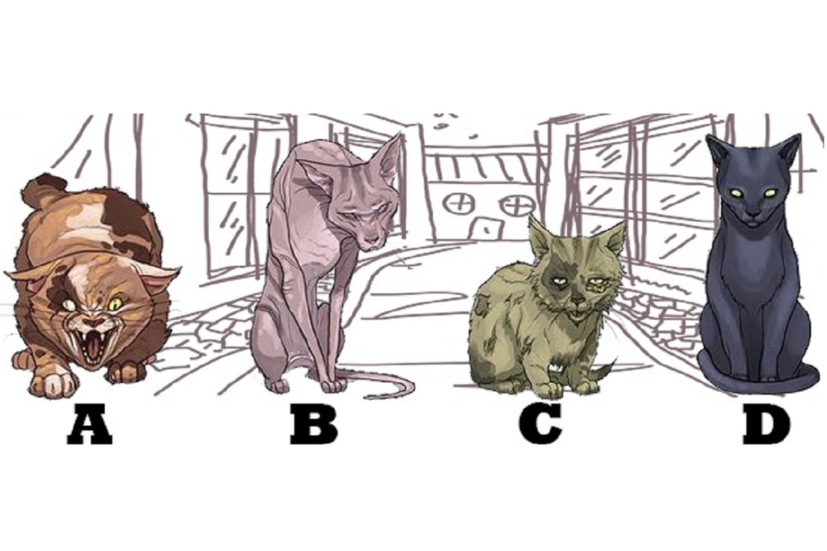 ▲哪隻貓咪讓你最不舒服？一秒分析「別人眼中的你」。（圖／翻攝自Look Pretty）